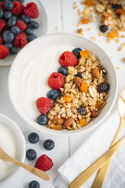 Homemade granola with fresh berries and Greek yoghurt — Stock Photo