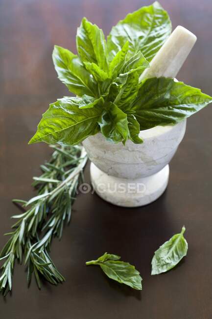 Basil and rosemary in stone bowl with squeezing stick and on table — Stock Photo