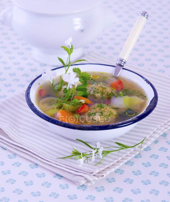 Літній овочевий суп з пельменями — стокове фото