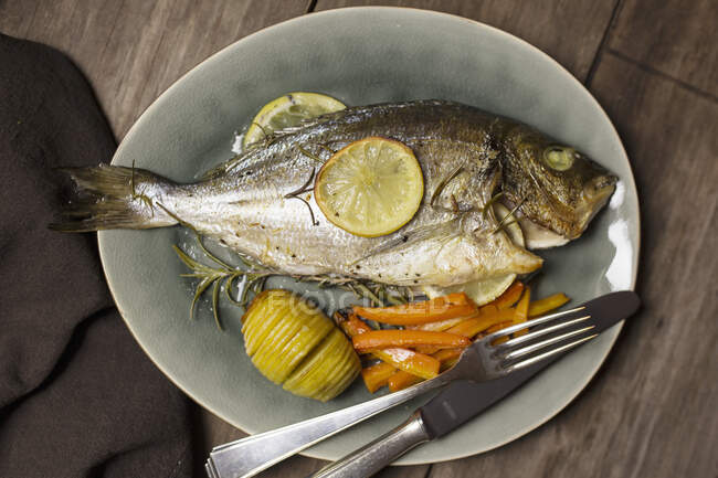 Peixe-marinho de estilo croata (cozido em azeite e vinho branco) com batatas duchesse e cenouras assadas em forno — Fotografia de Stock