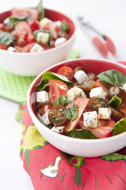 2 x Childen's salad bowls with tomato wedges, feta cheese and basel  balsamic vinegar and pepper — Stock Photo