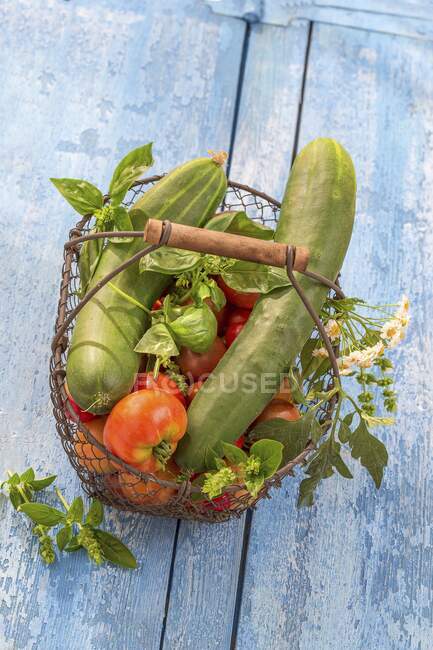 Tomatoes, cucumbers and herbs in a wire basket — Stock Photo