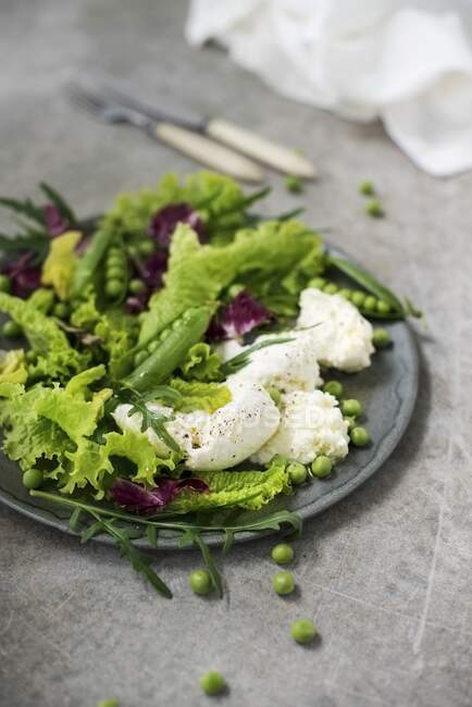 Листя салату з зеленим горошком і моцарелою — стокове фото