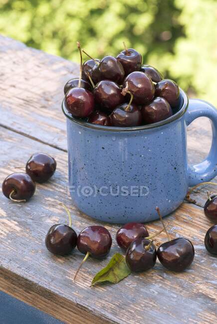 Cerezas frescas en taza de esmalte y en mesa de madera rústica - foto de stock