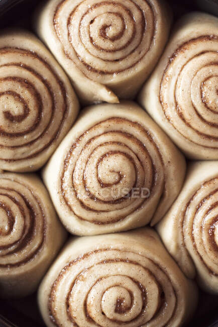 Unbaked cinnamon buns close-up view — Stock Photo