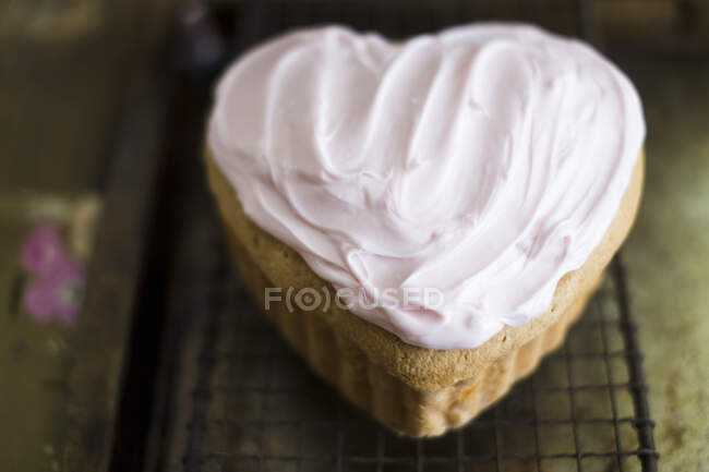 Um mini bolo em forma de coração com cobertura — Fotografia de Stock