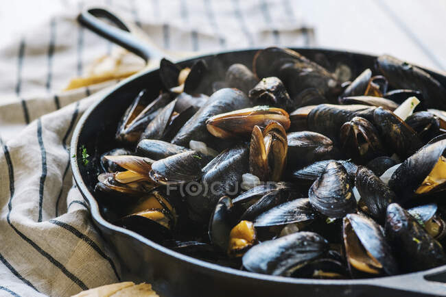 Cooked mussels in a cast-iron pan — Stock Photo