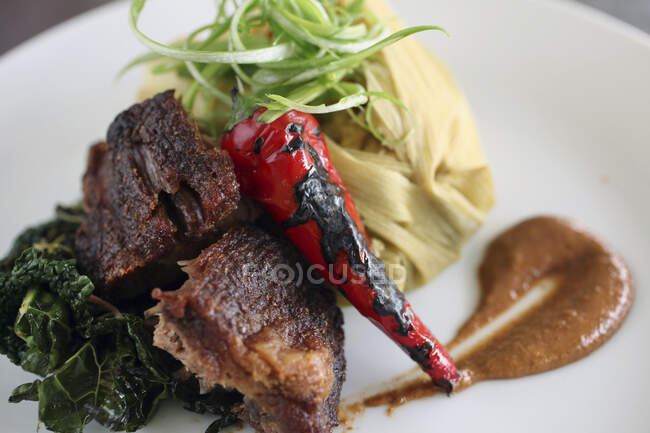 Adobo pork, tamale and roasted red chili pepper — Stock Photo