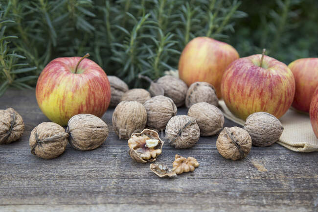Яблоки и грецкие орехи на поверхности дерева — стоковое фото