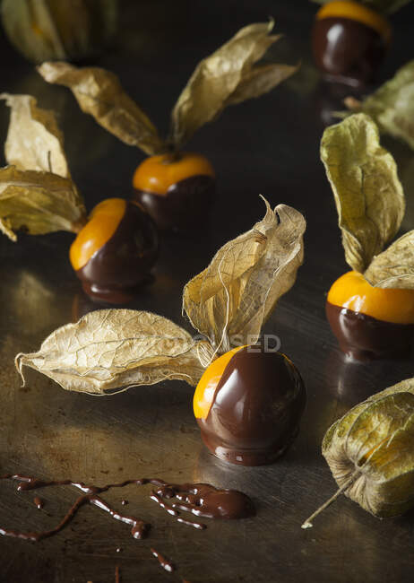 Physalis with chocolate icing on a metal surface — Stock Photo