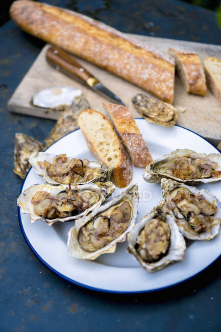 Gratinated oysters with baguette — Stock Photo
