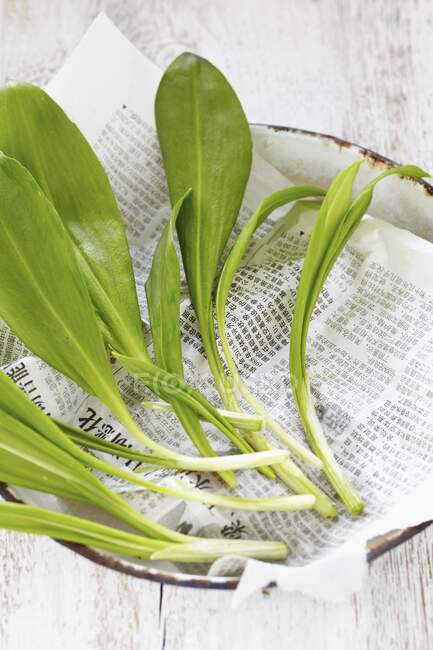 Wild garlic on a sheet of Asian newspaper — Stock Photo