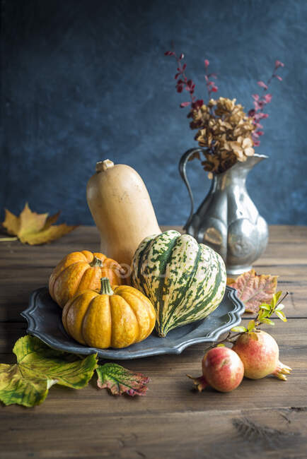 Escena de otoño con calabazas surtidas - foto de stock