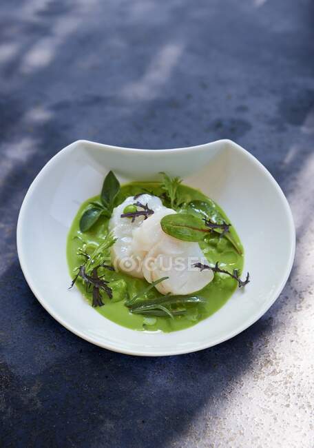 Cod in herb sauce with fresh leaves in bowl — Stock Photo
