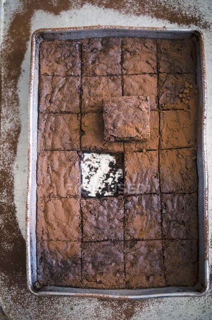 Freshly baked brownies close-up view — Stock Photo