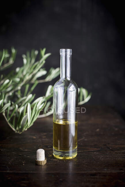 Оливкова олія в пляшці перед оливковою гілкою — стокове фото
