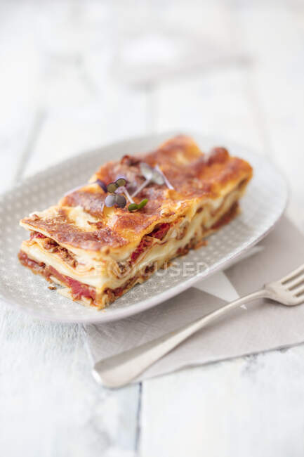 Portion Lasagne aus nächster Nähe — Stockfoto