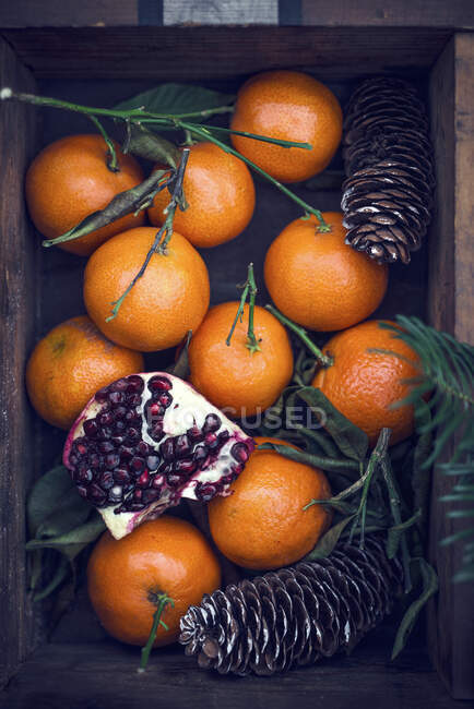 Mandarini e melograno con coni in cassa di legno — Foto stock