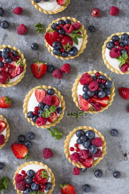 Міні пироги з ванільним кремом та літніми фруктами, які видно зверху — стокове фото