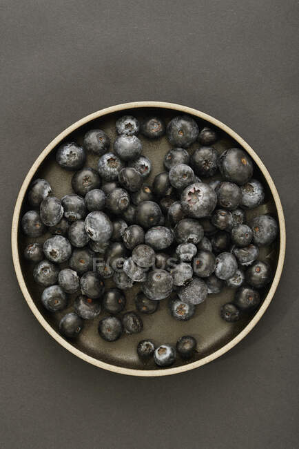 Blueberries on dark background — Stock Photo