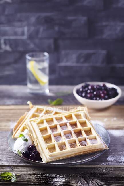 Waffles with blueberries close-up view — Stock Photo