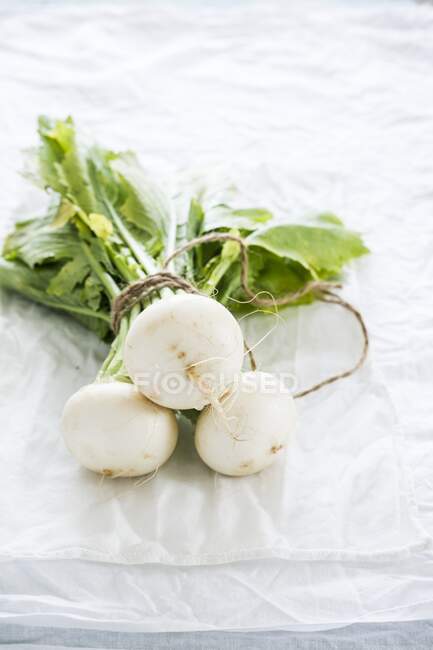 A bundle of white turnips on a pale background — Stock Photo