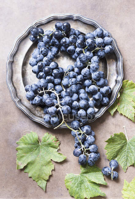 Синий виноград на круглом металлическом подносе с зелеными листьями — стоковое фото