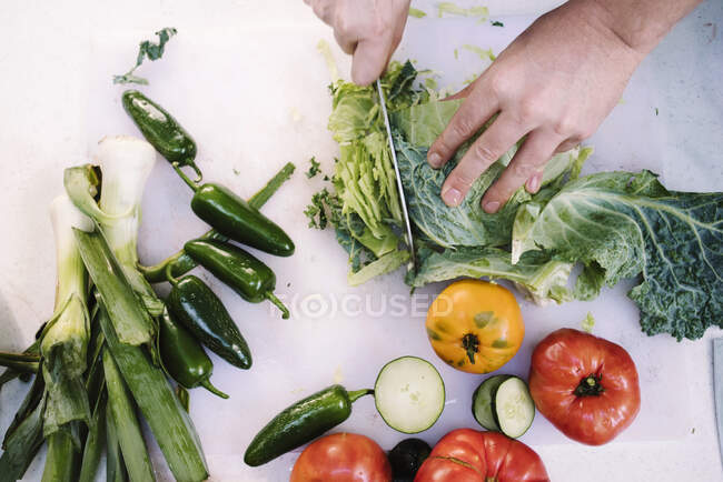 Couve lombarda, alho-poró, pimentão verde e tomate cortados numa tábua — Fotografia de Stock
