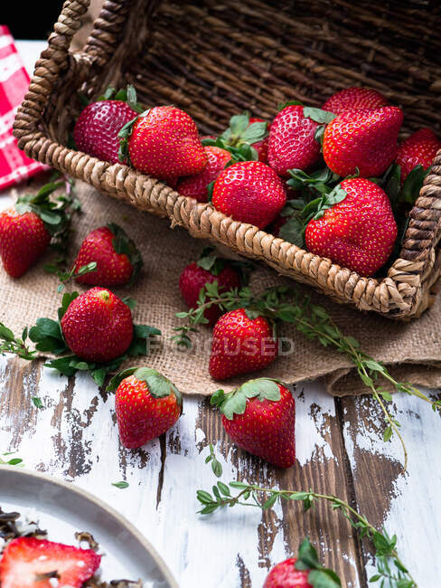 Fresas frescas vista de cerca - foto de stock