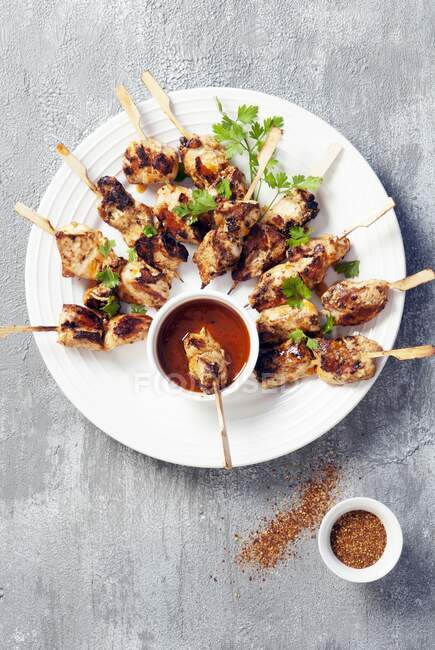 Spicy chicken kebabs with a dip — Stock Photo