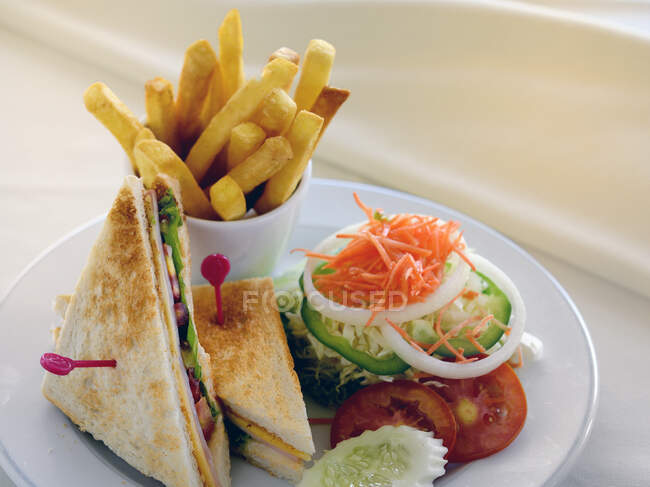 Sanduíche clube com salada lateral e batatas fritas — Fotografia de Stock