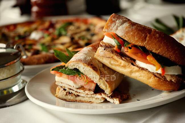 Grilled panini with chicken, tomatoes and mozzarella — Stock Photo