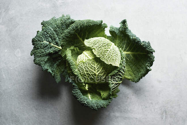 A savoy cabbage on a grey surface — Stock Photo
