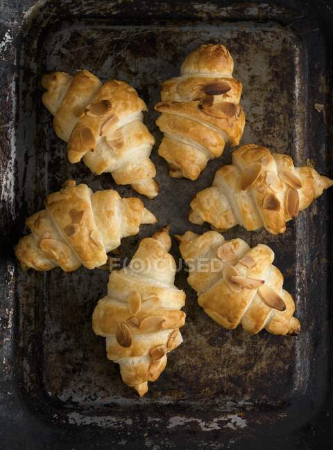 Croissants with almond flakes on a baking sheet — Stock Photo