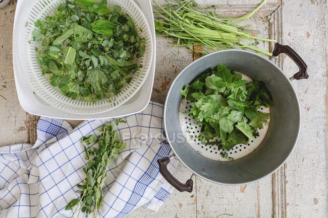Washed and drained fresh herbs (top view) — Stock Photo