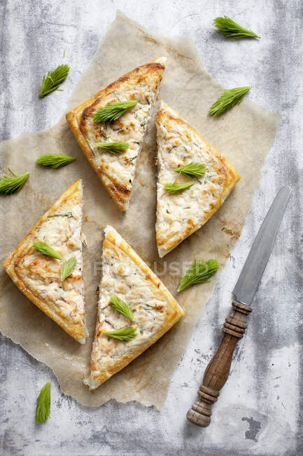 Savory pie with salmon, lemon and spruce tips — Stock Photo