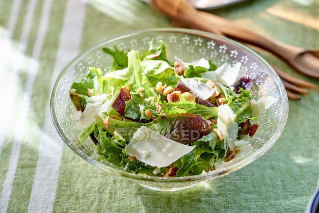 Young mixed leaf salad with shaved cheese — Stock Photo