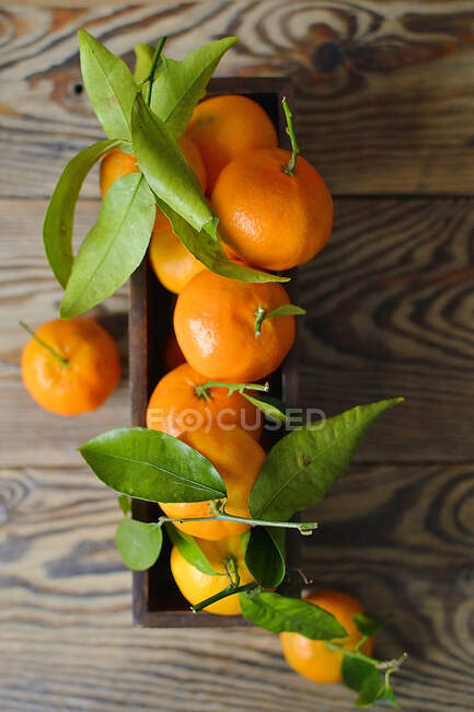 Tangerines on table close-up view — Stock Photo