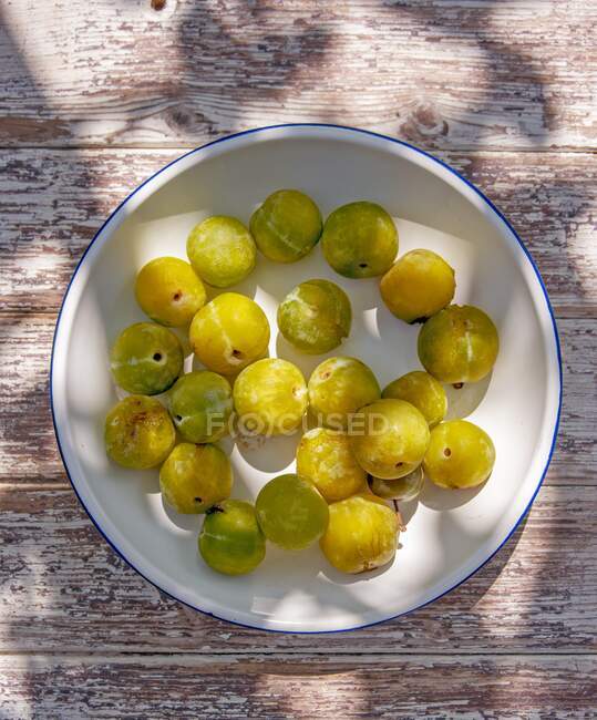 Prunes grises sur une assiette (vue du dessus) — Photo de stock