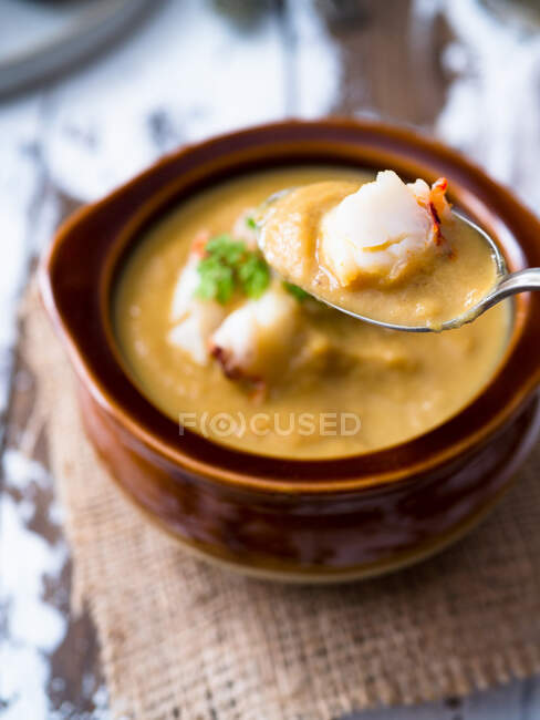 Creamy soup topped with lobster — Stock Photo