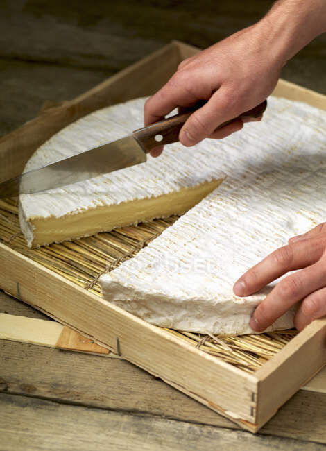 Ein Rad aus Brie, in Scheiben geschnitten — Stockfoto