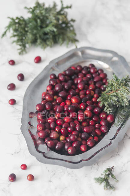 Fresh cranberry on a metal tray. — Stock Photo