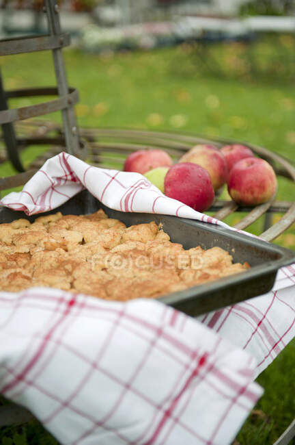 Apple pie in tin on garden bench — Stock Photo