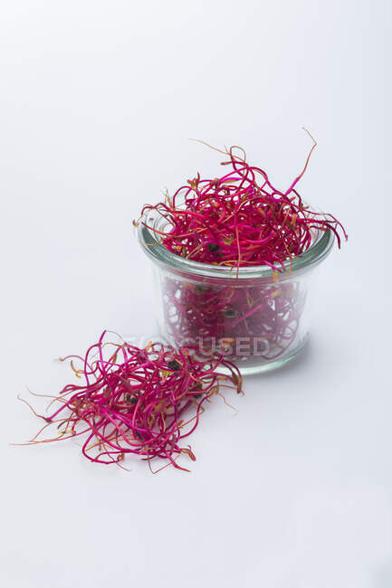 Beetroot sprouts in a glass — Stock Photo
