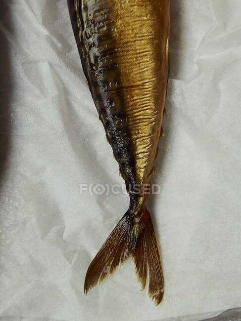 Cured mackerel close-up view — Stock Photo