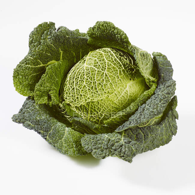 A savoy cabbage on a white background — Stock Photo