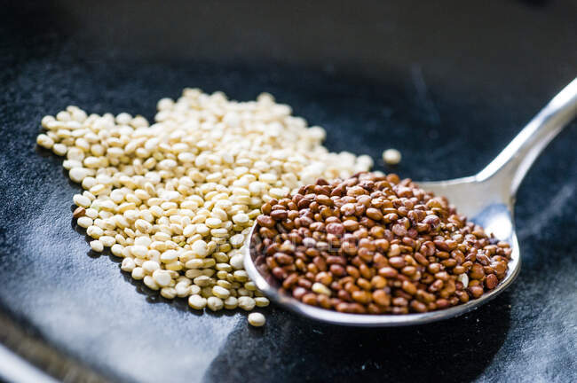 Two different types of quinoa — Stock Photo