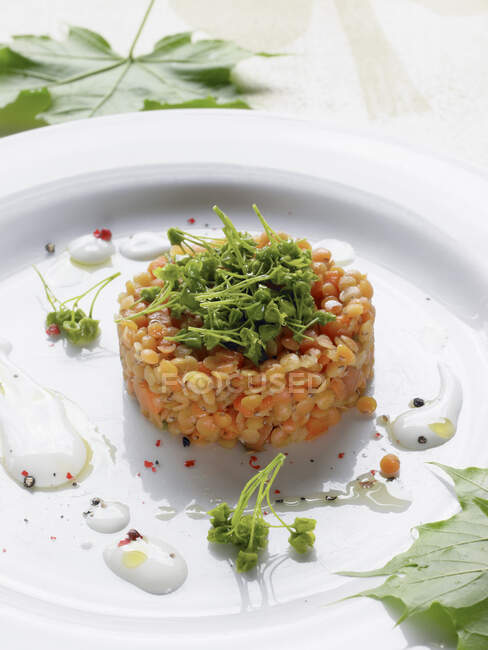 Lentil tartare with carrots, peppers, maple, and yoghurt — Stock Photo