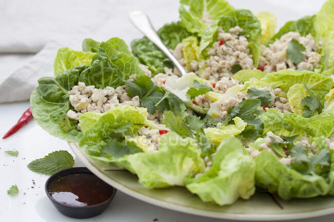 Lettuce with chicken and chillies — Stock Photo