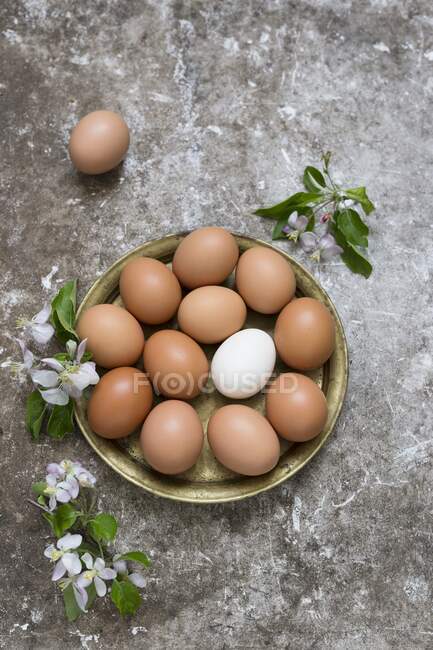 Fresh eggs on vintage metal tray and branch with flowers — Stock Photo